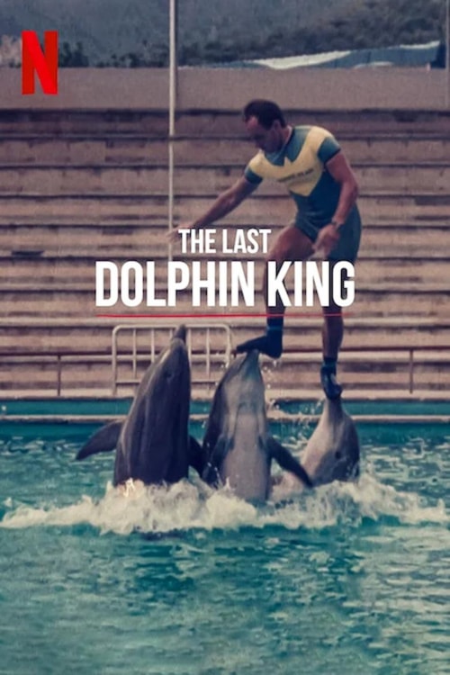 ¿Qué le pasó al rey de los delfines? poster
